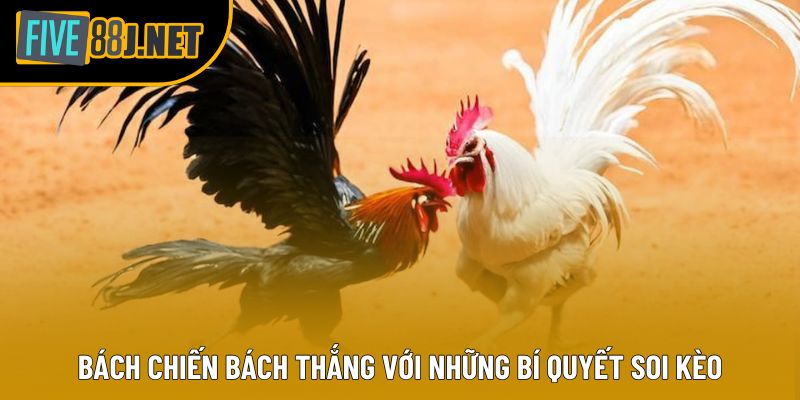 Bách chiến bách thắng với những bí quyết soi kèo