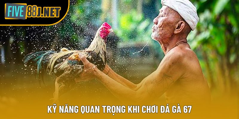 Kỹ năng quan trọng khi chơi đá gà 67