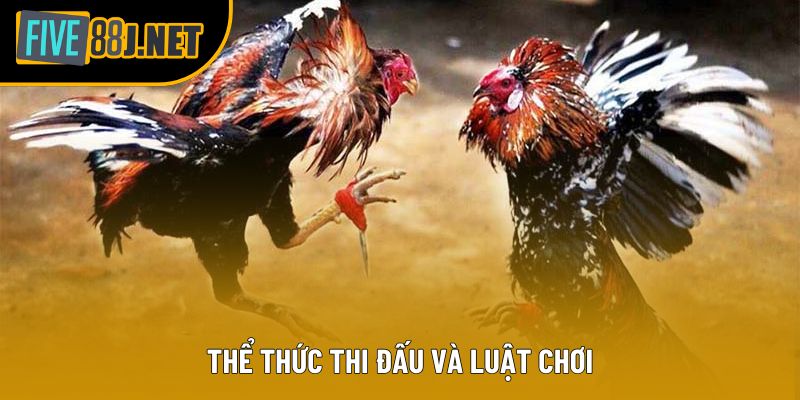 Thể thức thi đấu và luật chơi